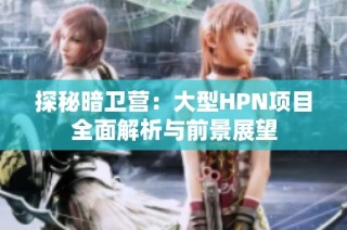 探秘暗卫营：大型HPN项目全面解析与前景展望