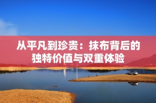 从平凡到珍贵：抹布背后的独特价值与双重体验