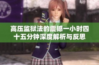 高压监狱法的震撼一小时四十五分钟深度解析与反思