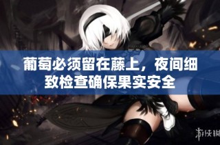 葡萄必须留在藤上，夜间细致检查确保果实安全