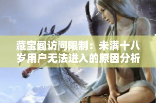 藏宝阁访问限制：未满十八岁用户无法进入的原因分析