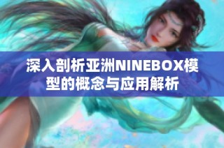 深入剖析亚洲NINEBOX模型的概念与应用解析
