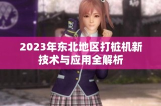 2023年东北地区打桩机新技术与应用全解析