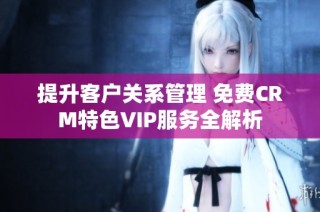 提升客户关系管理 免费CRM特色VIP服务全解析