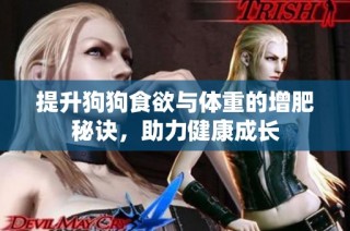 提升狗狗食欲与体重的增肥秘诀，助力健康成长