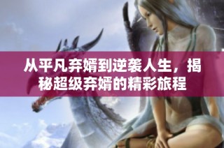 从平凡弃婿到逆袭人生，揭秘超级弃婿的精彩旅程