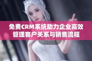 免费CRM系统助力企业高效管理客户关系与销售流程