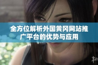 全方位解析外国黄冈网站推广平台的优势与应用