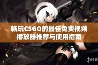 畅玩CSGO的最佳免费视频播放器推荐与使用指南
