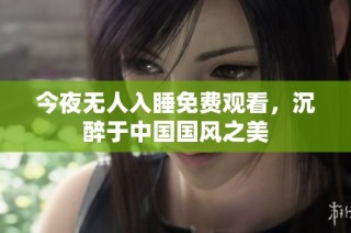 今夜无人入睡免费观看，沉醉于中国国风之美
