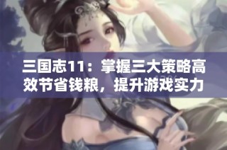 三国志11：掌握三大策略高效节省钱粮，提升游戏实力