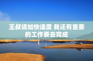 王叔请加快速度 我还有重要的工作要去完成