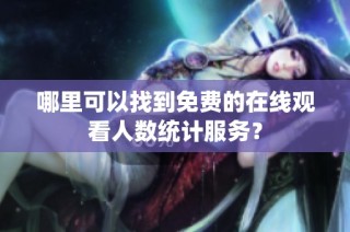 哪里可以找到免费的在线观看人数统计服务？