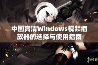中国高清Windows视频播放器的选择与使用指南