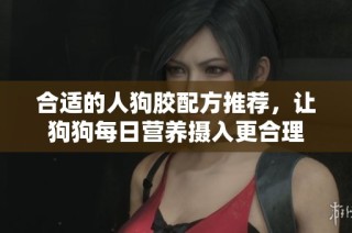 合适的人狗胶配方推荐，让狗狗每日营养摄入更合理