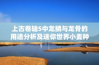上古卷轴5中龙鳞与龙骨的用途分析及迷你世界小麦种植攻略