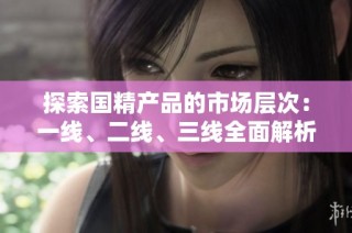 探索国精产品的市场层次：一线、二线、三线全面解析与对比
