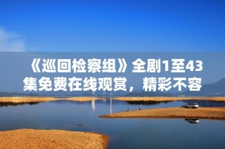 《巡回检察组》全剧1至43集免费在线观赏，精彩不容错过
