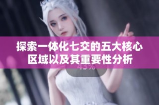 探索一体化七交的五大核心区域以及其重要性分析