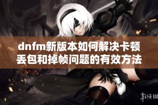 dnfm新版本如何解决卡顿丢包和掉帧问题的有效方法分享