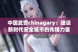 中国武警chinagary：建设新时代安全城市的先锋力量
