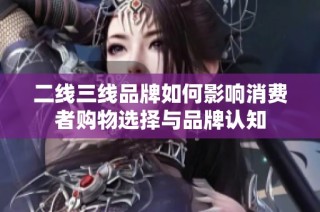 二线三线品牌如何影响消费者购物选择与品牌认知