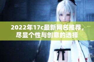2022年17c最新网名推荐，尽显个性与创意的选择
