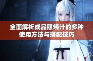 全面解析成品照烧汁的多种使用方法与搭配技巧