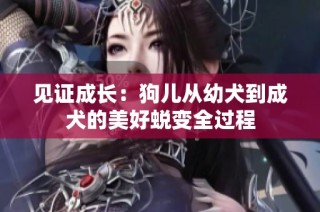 见证成长：狗儿从幼犬到成犬的美好蜕变全过程