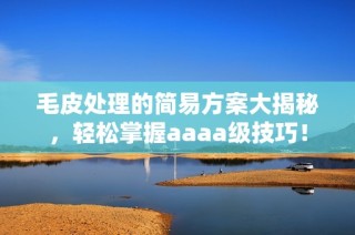 毛皮处理的简易方案大揭秘，轻松掌握aaaa级技巧！
