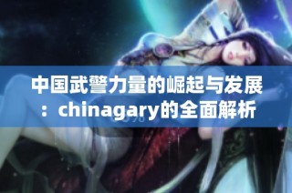 中国武警力量的崛起与发展：chinagary的全面解析
