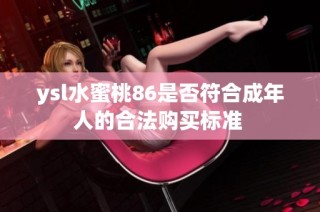 ysl水蜜桃86是否符合成年人的合法购买标准 
