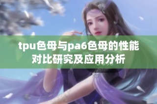 tpu色母与pa6色母的性能对比研究及应用分析