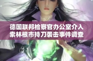 德国联邦检察官办公室介入索林根市持刀袭击事件调查