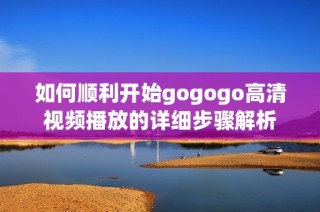 如何顺利开始gogogo高清视频播放的详细步骤解析