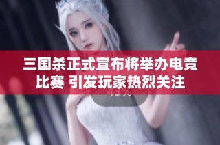 三国杀正式宣布将举办电竞比赛 引发玩家热烈关注