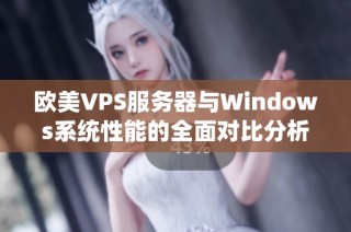 欧美VPS服务器与Windows系统性能的全面对比分析