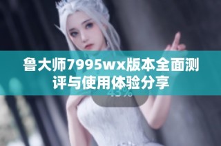 鲁大师7995wx版本全面测评与使用体验分享