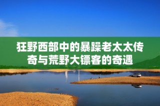 狂野西部中的暴躁老太太传奇与荒野大镖客的奇遇