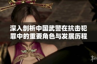 深入剖析中国武警在抗击犯罪中的重要角色与发展历程