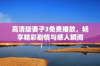 高清版妻子3免费播放，畅享精彩剧情与感人瞬间