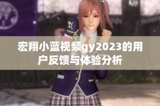宏翔小蓝视频gy2023的用户反馈与体验分析