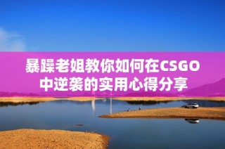 暴躁老姐教你如何在CSGO中逆袭的实用心得分享