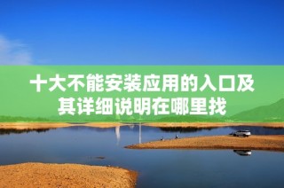 十大不能安装应用的入口及其详细说明在哪里找