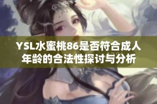 YSL水蜜桃86是否符合成人年龄的合法性探讨与分析