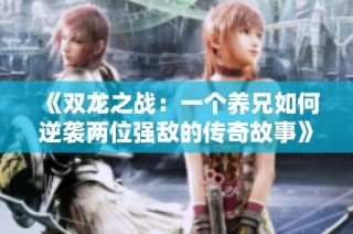 《双龙之战：一个养兄如何逆袭两位强敌的传奇故事》