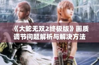《大蛇无双2终极版》画质调节问题解析与解决方法
