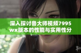 深入探讨鲁大师视频7995wx版本的性能与实用性分析