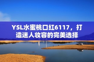YSL水蜜桃口红6117，打造迷人妆容的完美选择