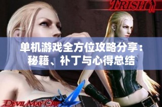 单机游戏全方位攻略分享：秘籍、补丁与心得总结